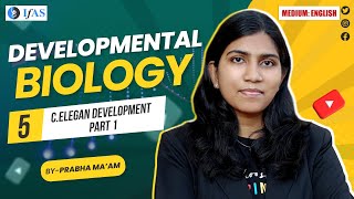 Developmental Biology  C Elegan Development Part 1  CSIR NET Life Science 2024  L5 [upl. by Xirtaeb]