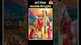 bhagavadgita lordsrikrishna ghantasala shorts youtubeshorts [upl. by Ardnuhs982]