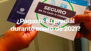 Seguro por pago de predial  Municipio de Querétaro [upl. by September345]