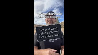 What Is Cash Value in Whole Life Insurance Lets Make It Simple [upl. by Norrie680]