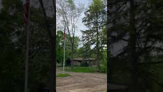 Video Gypsy moth aerial treatments in Romeo Michigan [upl. by Seda]