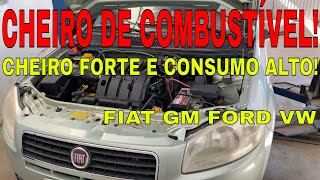 CARRO COM CHEIRO FORTE DE COMBUSTÍVEL E CONSUMO ALTO FIAT SIENA PALIO UNO STRADA PUNTO IDEA BRAVO [upl. by Abbottson]