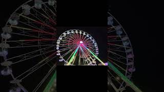 Fort Worth Stock Show And Rodeo Carnival Rides  Fort Worth Blog Shorts [upl. by Reider]