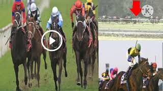 Lachlan Scorse horse racing fall video  Manning Valley Race Club Taree racetrack horor fall [upl. by Annoel]