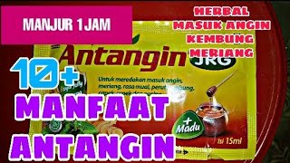 🔥Tak Disangka 10 Manfaat ANTANGIN Bagi Kesehatan  Herbal Masuk Angin Ampuh✅ [upl. by Romney228]