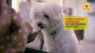 Daily Oral Care for Dogs with Pedigree Dentastix [upl. by Nosahc]