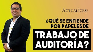 Definición y regulación de los papeles de trabajo de auditoría [upl. by Mallen]