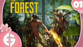 THE FOREST BEST OFGAMEPLAY FR 1 avec cactusio pinguinasmatiq et manchovegetarien [upl. by Doownyl731]