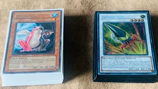 YuGiOh Edison Format  Dream Frog Deck Profile edisonformat yugioh [upl. by Malonis626]