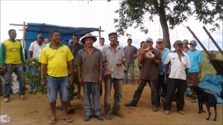 12a reocupação da fazenda Marilândia em Manga norteMG 84 famílias voltaram para terra 020416 [upl. by Sivel269]