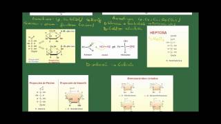 Biología 2 Bachillerato Tema 2 Los glúcidos Apartado 2 Los monosacáridos [upl. by Kcire190]