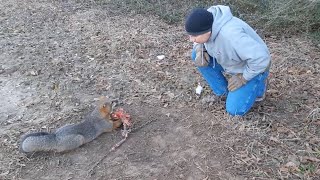 Caught Another Grey Fox [upl. by Lahpos]