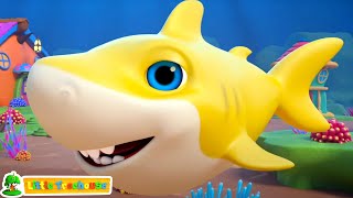 Baby Shark Song Shark Cartoon  More Preschool Rhymes for Kids [upl. by Dahc828]