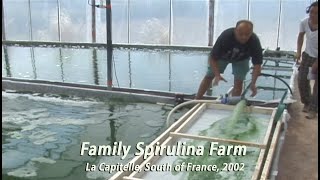 Family Spirulina Algae Farm in France • 2002 [upl. by Kenay]