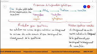 10Préparation à lexamen national  Lexpression de linformation génétique 2BAC PCSVT1BAC SM [upl. by Aneleve]