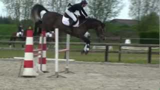 Idefix Van De Heffinck  Cooper x Clinton x Libero H [upl. by Ayekel947]