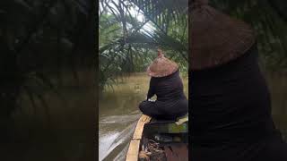 Exploring the Majestic Mekong Delta Scenic River Cruise Adventure [upl. by Vatsug344]