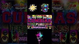 CUMBIAS TROPICALES MIX 2024💃CUMBIAS PARA BAILAR🎶LOS KARKIKSALEX BARMATEO Y SUS TECALDOSEL NEGRO [upl. by Parthen]