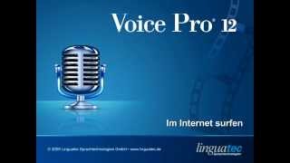 Voice Pro 12 Spracherkennung im Internet surfen per Sprache [upl. by Kowatch]