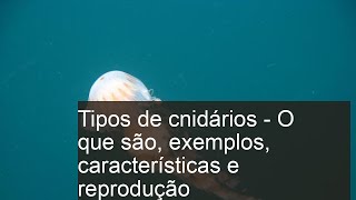 Tipos de CNIDÁRIOS  O que são exemplos características e reprodução [upl. by Warenne81]