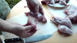 How to Quarter or Disjoint A Rabbit Butchering Rabbit [upl. by Garfinkel]