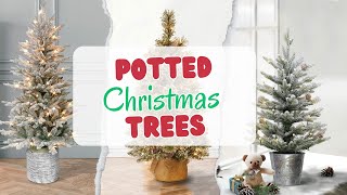 Best Potted Artificial Christmas Trees In 2024 The 5 Best Ones [upl. by Mcevoy]