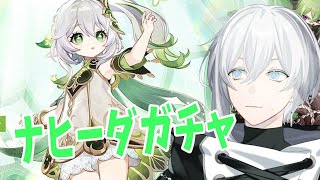 【原神】ナヒーダお迎えしたい！【新人vtuber まひろ】 [upl. by Atnoed467]