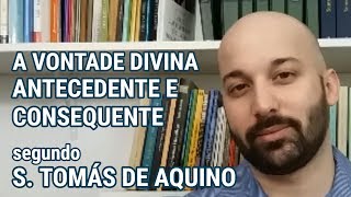 A VONTADE DIVINA ANTECEDENTE E CONSEQUENTE segundo São Tomás de Aquino [upl. by Sainana232]