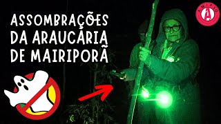 Assombrações da Araucária de Mairiporã cacafantasmasbrasil [upl. by Tildie]