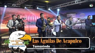 Las Águilas De Acapulco  Tamarindo Video Oficial [upl. by Attirehs]