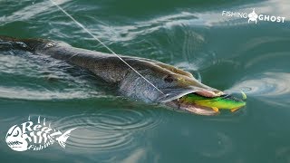 GROßHECHTJAGD am riesigen See  Der Weg zum METERHECHT ft FishingGhost [upl. by Ahsataj621]