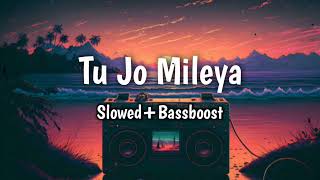 Tu Jo Mileya ll SlowedBassboost new song 2024 [upl. by Aremahs392]