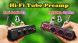 Fosi Audio P3 Vs AIYIMA T1 Pro [upl. by Naynek]