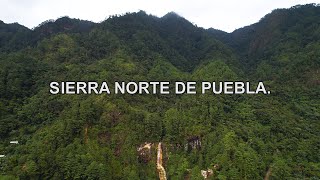 Puebla indómito  La ruta serrana de 50 km entre cascadas y bosques [upl. by Willetta821]