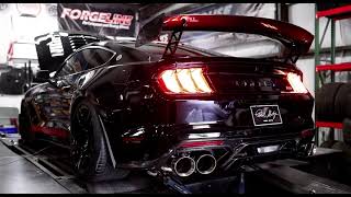 SHELBY CODE RED FULL THROTTLE SHIFTING mustang shelby dodge [upl. by Nylekoorb]