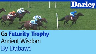 Ancient Wisdom by Dubawi wins the G1 Futurity Trophy at Doncaster [upl. by Allianora]