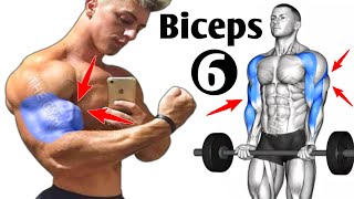 6 Effective Exercises For Bigger Biceps At Gym [upl. by Lubow]