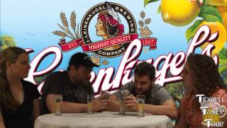 Leinenkugels Summer Shandy Beer Review [upl. by Macomber108]