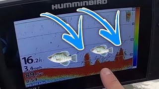 Brush Pile CRAPPIE Fishing 101  Using The Humminbird Helix 7  CRAPPIE Fishing Secrets [upl. by Ahseka]