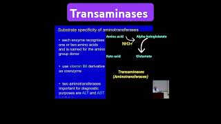 Transaminases Aminotransferases  Metabolism Made Easy [upl. by Cattier169]