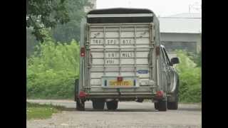 Pastori transumanti in Lombardia La transumanza in camion [upl. by Karlen]