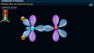 Quick revision  Carbonyl compounds [upl. by Notnek]