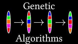 How algorithms evolve Genetic Algorithms [upl. by Nylra]