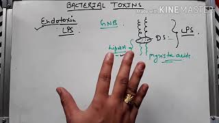 Bacterial toxin ।। Endotoxin in hindi [upl. by Tonneson970]