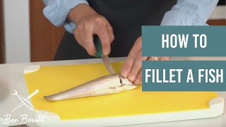 How To Fillet A Fish Whiting  Ep 1 [upl. by Eatnom816]