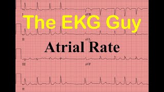 EKGECG  Atrial Rate  Question 210  The EKG Guy [upl. by Lad]