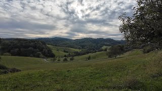 Von Weinheim nach Schriesheim durch den Odenwald [upl. by Freytag97]