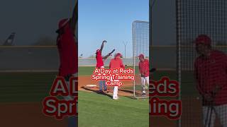 A day at Reds Spring Training camp Cincinnati Reds MLB baseballSpringTraining EllyDeLaCruz [upl. by Cheng]