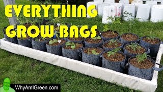 Grow Bags 101  Welcome to my Grow Bag Urban Homestead [upl. by Spillihp]