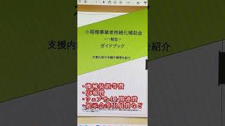 開業してすぐ小規模事業者持続化補助金を使う [upl. by Sucramraj]